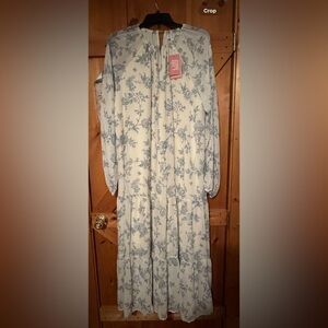 Beautiful cream, and blue Maxi Dress.